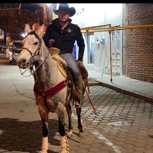 Meet your Posher, David